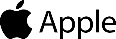 Microsoft Official Logo
